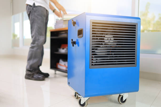 Best Biohazard Mold Removal  in Beverly Hills, TX